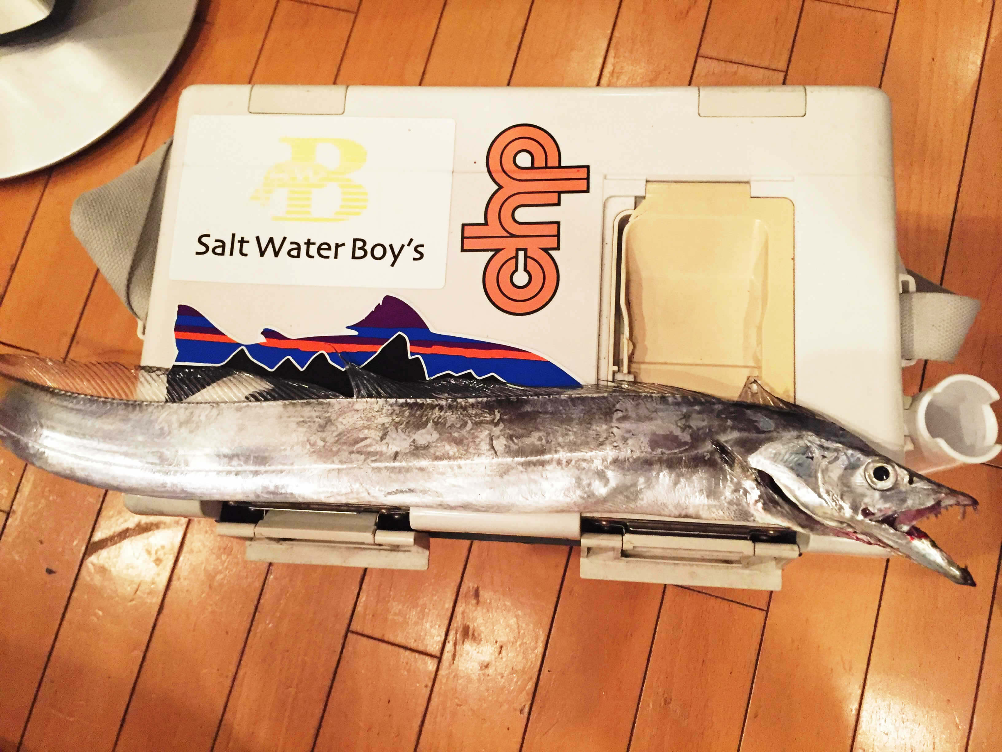 神戸方面へワインドで太刀魚調査に行ってきました J フィッシングダイアリー 釣り日誌 釣りに関するあれこれ情報サイト