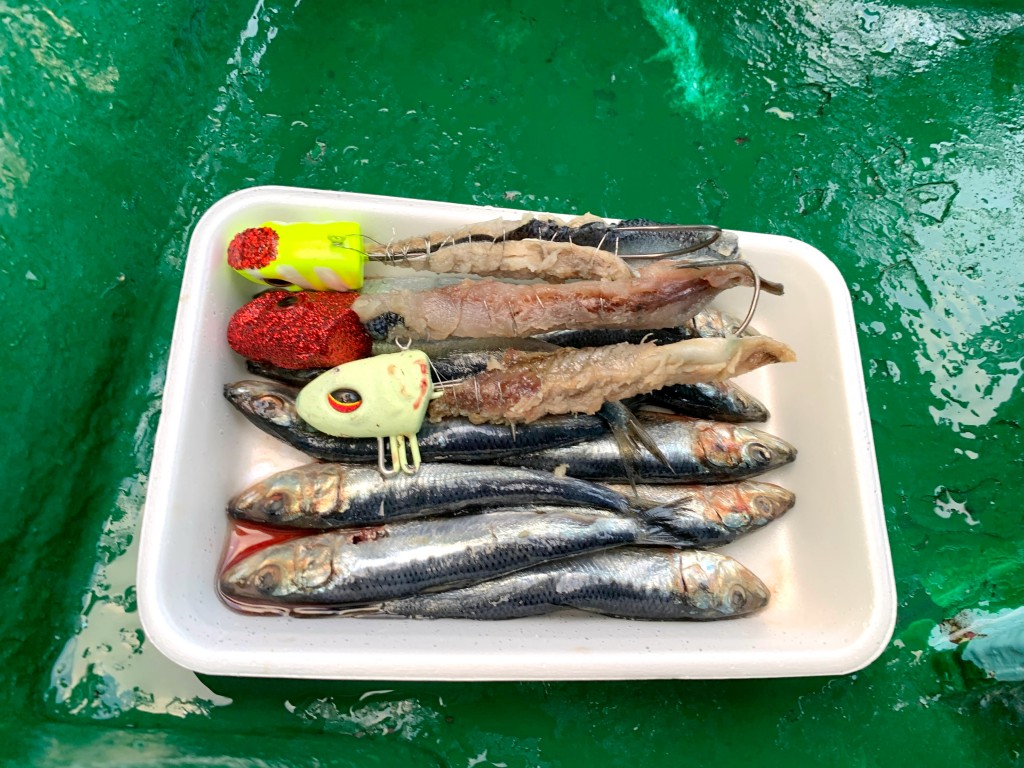 タチウオテンヤ,漁幸丸,釣果