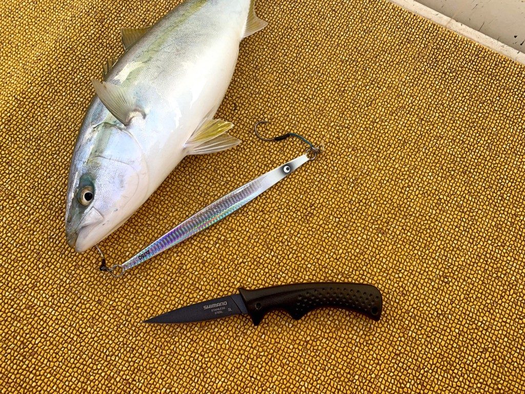 シマノの釣り用ナイフ「シースナイフ ロング」想像以上にスッと〆れます！ - J フィッシングダイアリー｜釣り日誌 釣りに関するあれこれ情報サイト